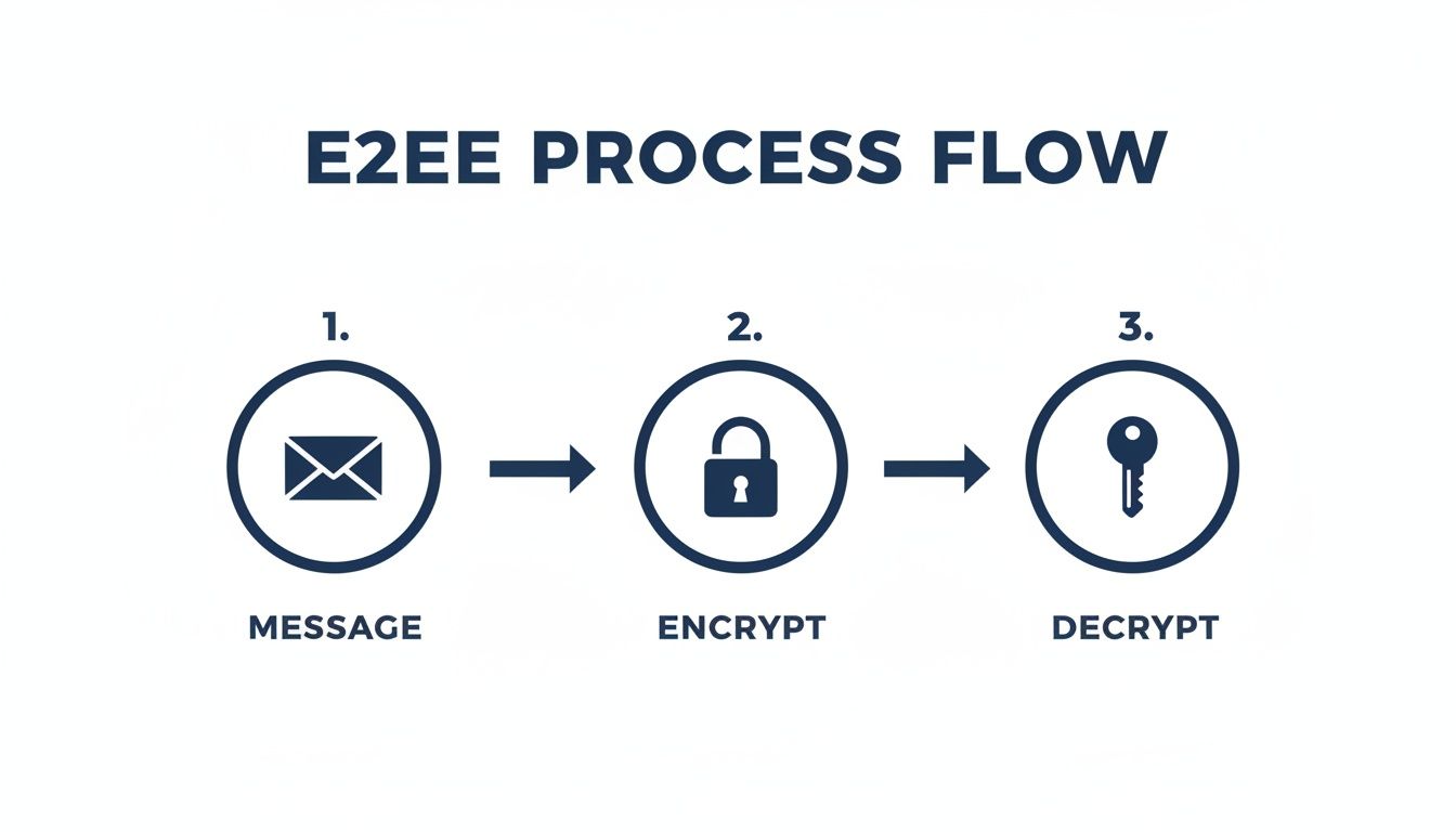 A flowchart illustrates the E2EE process: message with an envelope, encrypt with a padlock, then decrypt with a key.